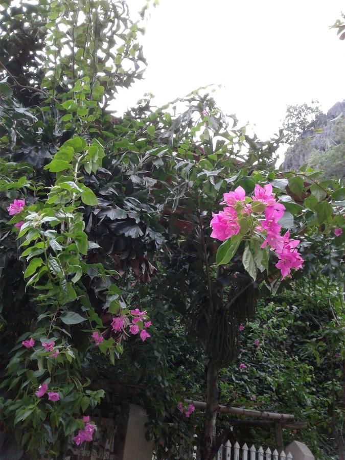 Tam Coc Riverside Homestay 닌빈 외부 사진
