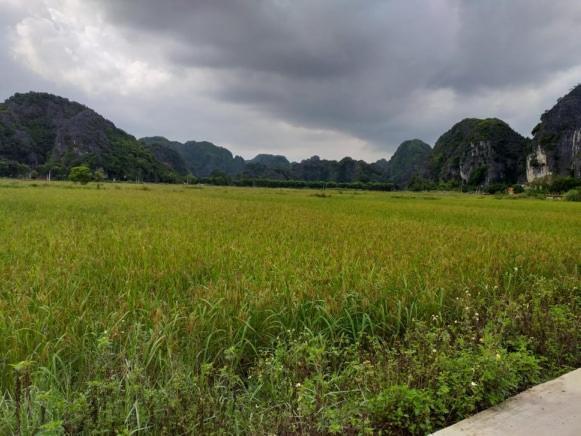 Tam Coc Riverside Homestay 닌빈 외부 사진